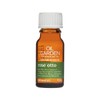 Oil Garden Aromatherapy Rose Otto 3 Percent Essential Oil 12ml