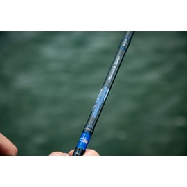 Dobyns Rods Maverick Casting / 7'3" / 1 PC / 10-17 LB Line Weight / 1/4-3/4 Lure Weight/Medium/Heavy Fast Action/EVA-Split