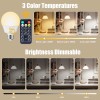 Brightown Rechargeable LED Light Bulb E26 3 Colors with Magnetic