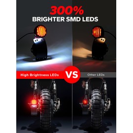 Amazicha 1" Motorcycle LED Tail Brake Light with Bracket, Waterproof Motorcycle Side Mount Curved License Plate Rear Light Compatible for Harley Sporster Bobber Chopper Honda Yamaha Suzuki Kawasaki
