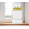 Soy Sprout Growing Set All-in-One Complete Set for Home: Simple,