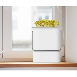 Soy Sprout Growing Set All-in-One Complete Set for Home: Simple, Quick & Versatile Ideal for Families and Educational Institutions with Soybeans (Soybean Sprout Growing Set)