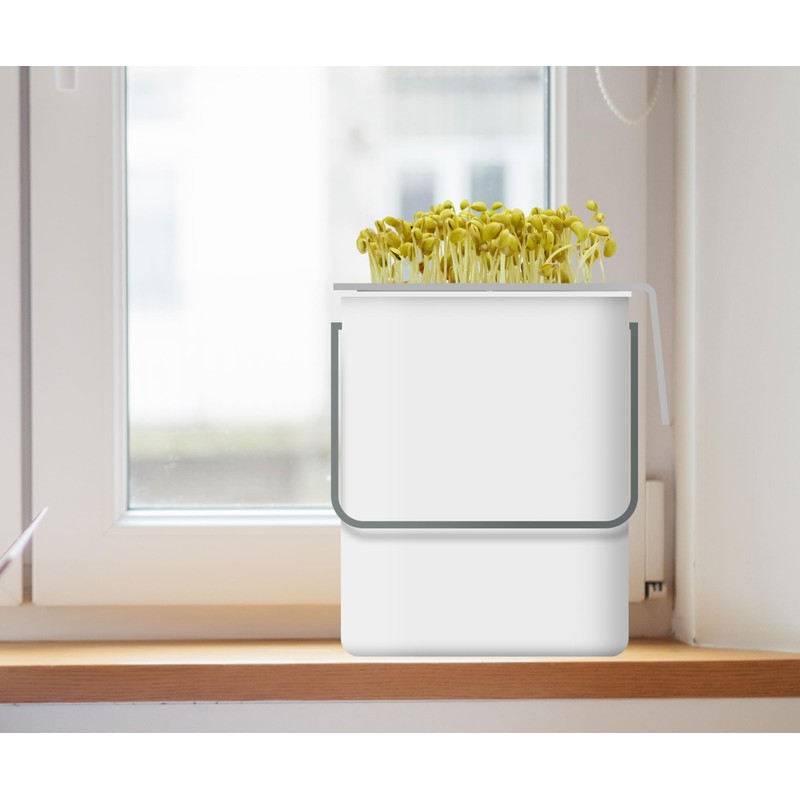 Soy Sprout Growing Set All-in-One Complete Set for Home: Simple,