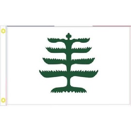 Trade Winds 3X5 PINE TREE WASHINGTON'S CRUISERS CHARLES RIVER FLAG BANNER 100D W/GROMMETS
