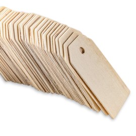 Super Z Outlet 50 Pack Unfinished Natural Wood Rectangle Blank Pieces Wooden Tags Slices for Arts & Crafts, Painting DIY Decorations, Embellish, Burning & Staining (2 1/4" x 1 1/4" Tag)