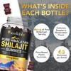Shilajit Gummies, Pure Himalayan Shilajit Gummies with 100% Shilajit, Shilajit