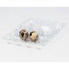 12 Quail Egg Box PET - Pack of 100