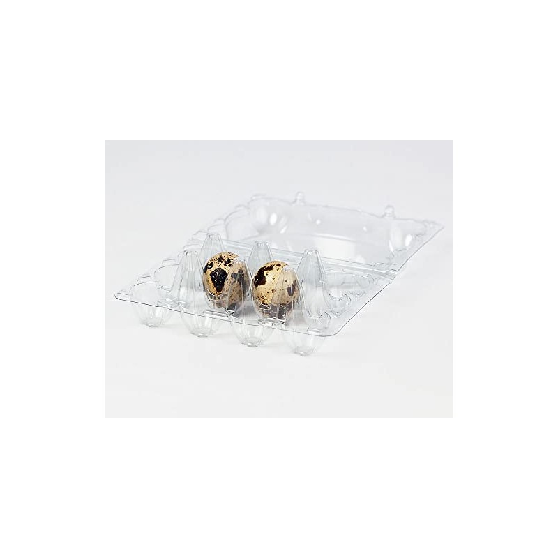 12 Quail Egg Box PET - Pack of 100