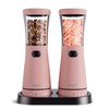 Electric Salt and Pepper Grinder Set with Storage Base, Stainless