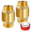 Boltigen 2Pcs 1in NPT Spring Check Valve, Brass Non Return