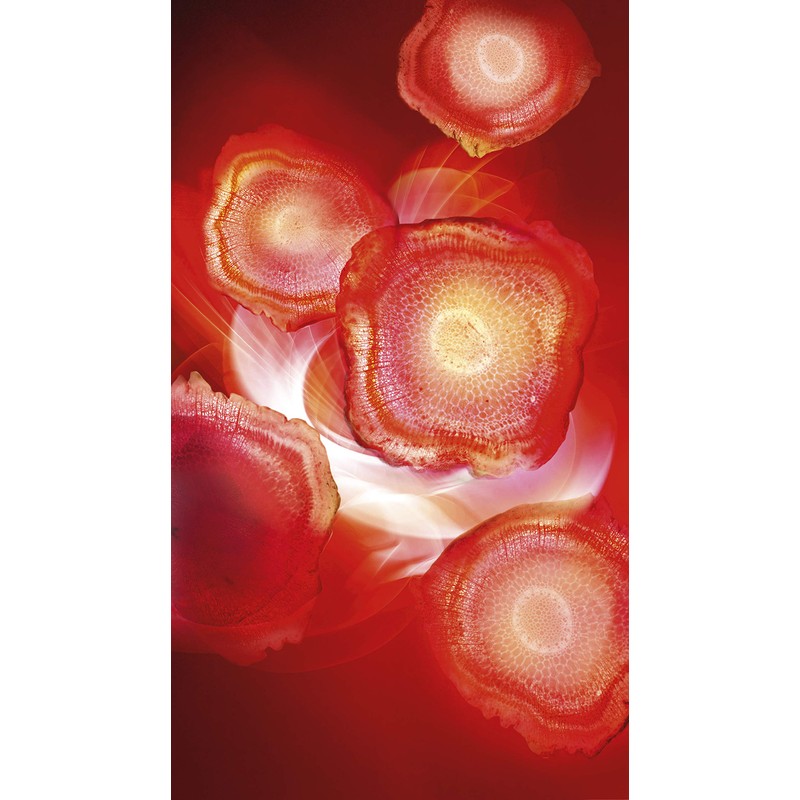 L'Oréal Paris Revitalift Energicising Anti-Wrinkle Day Cream with Ginseng Red