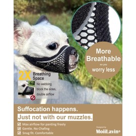 Dog Muzzle, Soft Mesh Muzzles for Small Dogs, Chihuahua Shih Tzu Yorkie Pom, Short Snout Mouth Guard for Barking Biting Grooming, Breathable Adjustable Puppy Muzzle (Cherry Red, XXS)