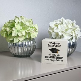 Exam Passed Graduation Hat Money Box Made of Wood with Saying Licence for Klugscheißen Graduation Gift Smart Egg School TV for Guests
