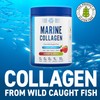 Applied Nutrition Applied Nutrition Marine Collagen Powder - Hydrolysed Collagen
