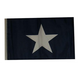12x18 12"x18" Historical Bonnie Blue Sleeve Flag Garden