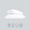Karin Maki Standard Zippered Pillow Protectors Pack of 2 100%