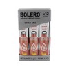 Bolero Drink Sticks Beverage Powder, 12 x 3g Sachets (Forest