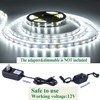 JUNWEN 20FT LED Strip Light Warm White 360 LED Beads,12V