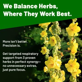vivcmin Mullein Drops for Lungs with Licorice & Astragalus, Respiratory & Immune Support, Lung Detox for Smokers Tincture, Mullein Leaf Extract for Lung Cleanse, Sugar & Alcohol-Free, 2 fl oz