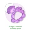 green sprouts Fruit Cooling Teether-Pink Strawberry