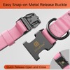 ILFINDYOU Premium Leather Dog Collar, Dog Collars for Medium Dogs,