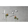 Oneida Mezze 20 Piece Everyday Flatware Set