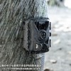 Sanwa Supply CMS-SC07BK Trail Camera with Continuous Recording Function