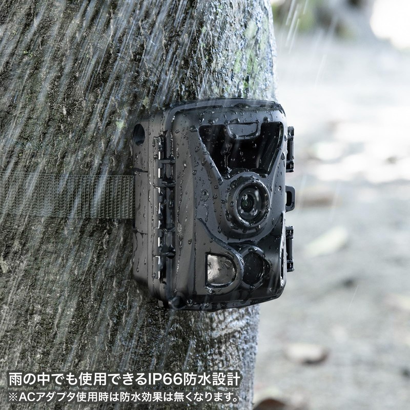 Sanwa Supply CMS-SC07BK Trail Camera with Continuous Recording Function