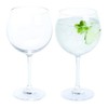 Dartington Crystal WB427/P Wine and Bar, Copa Gin and Tonic,