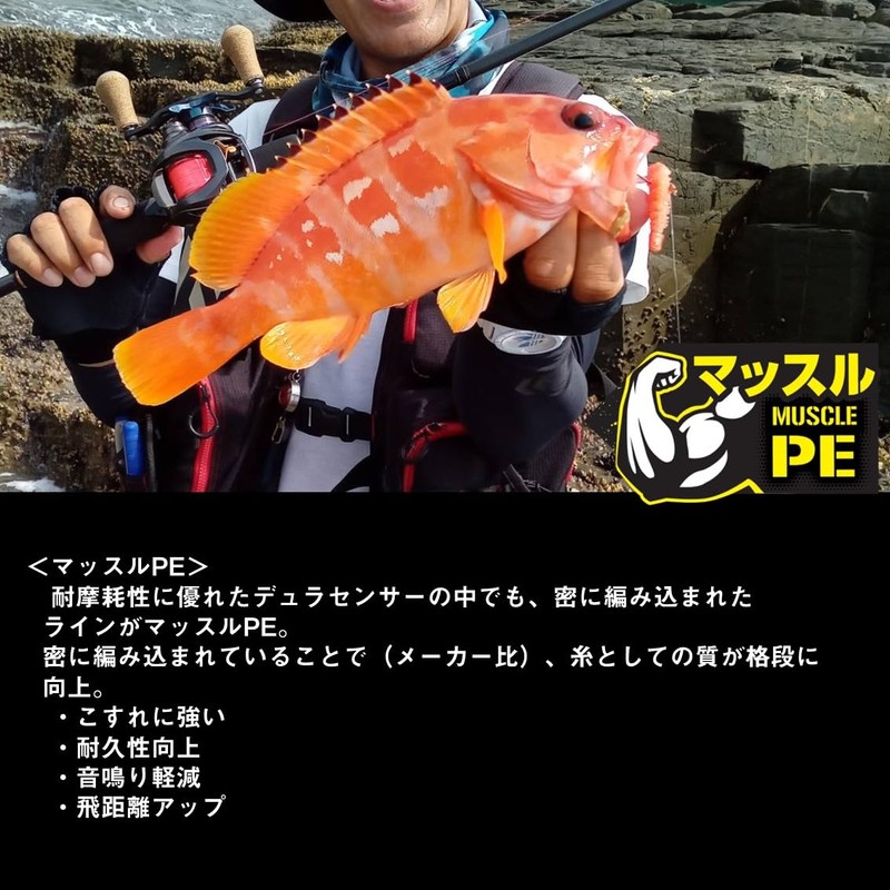 Daiwa PE Line UVF PE Dura Sensor X4 + Si2,