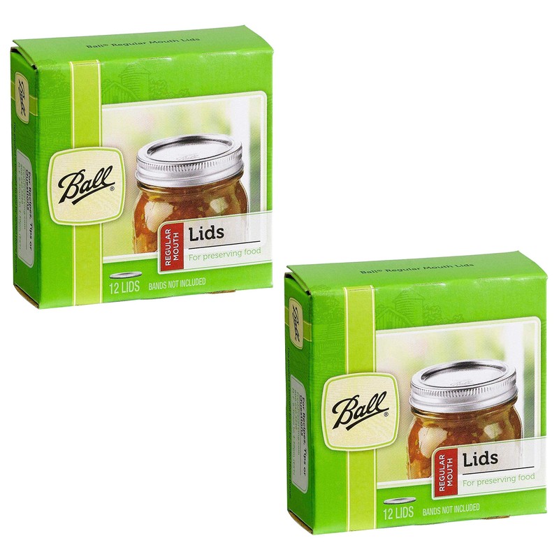 Ball Regular Mouth Mason Glass Jar Lids (24-Count), Silver