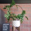 Acrux7 10 Pcs Circle Trellis for Climbing Plants Indoor Small