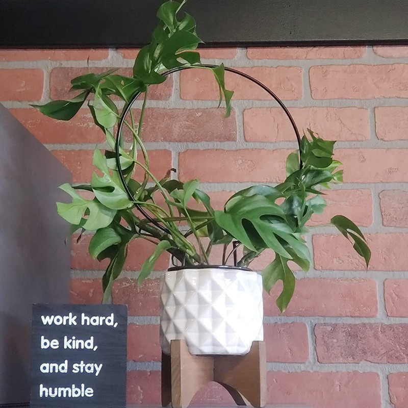 Acrux7 10 Pcs Circle Trellis for Climbing Plants Indoor Small