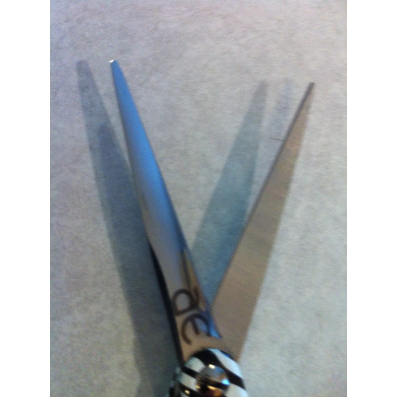 Oster / Arius Eickert Reg$40*Oster-A