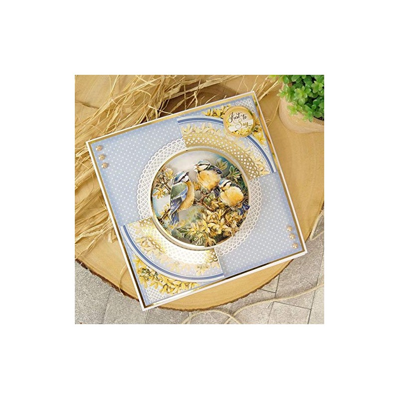 Hunkydory Crafts Delightful Birds Decoupage Card Kit