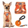 BEAUTYZOO Step in Dog Harness and Leash Set, Reflective Dog