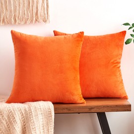 GriNeed Fall Orange Throw Pillow Covers Decorative Velvet Set of 2 24x24 Inch Pillow Covers, Soft Burnt Orange Pillowcases for Couch Sofa Bed Living Room, Farmhouse Boho Decor, Accent Cushion Covers