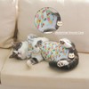 Yeapeeto Cat Recovery Suit 2 Packs After Surgery Bodysuit for