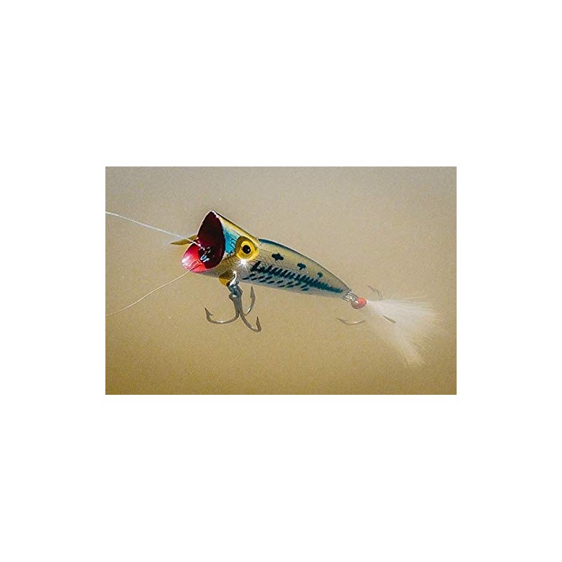 Rebel Lures P6077 Pop-R Fishing Lure - Foxy Momma, 2