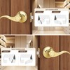 Moquin 5 Pack Wholesale Polished Brass Door Lever, Wave Design