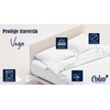 COLAS NORMAND | Absorbent Neck Bolster Protector | 160cm |