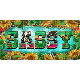 Car Unique License Plate Funny License, Front Car Tag Custom License Plate LP012
