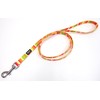 ONS Rainbow Lead #15 Orange (Small Dogs)