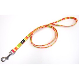 ONS Rainbow Lead #15 Orange (Small Dogs)