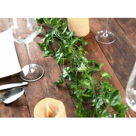 Carlo Milano Wall Decoration: Set of 24 Decorative Ivy Garlands, Each 2.2 m Length and 81 Leaves (Ivy Privacy Screen, Artificial Ivy Privacy Screen, Birthday)