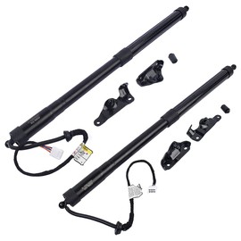 Getanye 6891009120 Electric Tailgate Power Lift Support Shock Replacement for 2014-2019 Toyota Highlander 3.5L Liftgate Trunk Lift 6891009130
