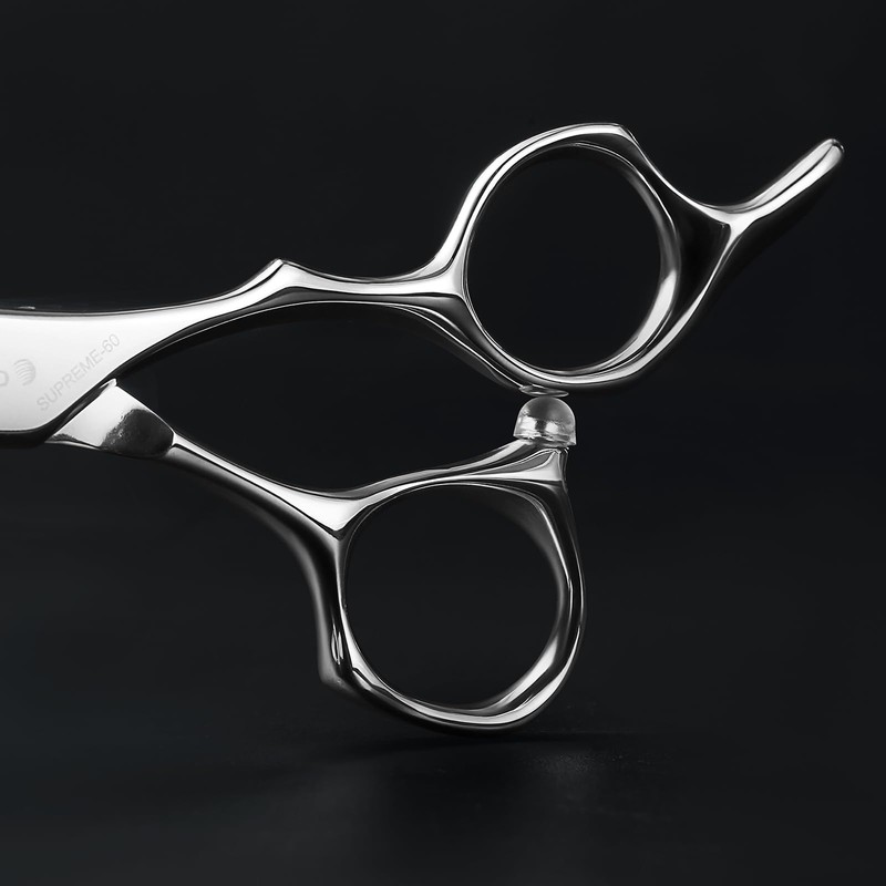 AOLANDUO VG10 Steel Pro Barber and Stylist Hair Cutting Scissors,