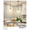 zeyu Modern 1 Light Hanging Lamp, Hanging Lighting Fixture Set