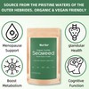 Mad Diet Organic Scottish Seaweed | Health Support | Natural