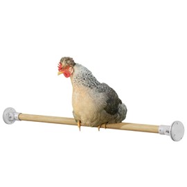 Omlet Chicken Perch | Enhance Your Outdoor Chickens Run with a Fun Accessory | Naturally Weather Resistant Perch with an Innovative Bracket Design | Eucalyptus Wood | 3ft
